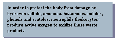 In order to protect the body from damage by hydrogen sulfide, ammonia, histamines, indoles, phenols and scatoles, neutrophils (leukocytes) produce active oxygen to oxidize these waste products.