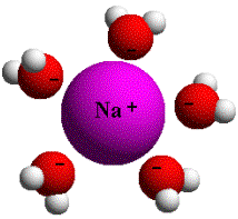 na+ ions