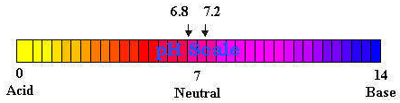0 Acid, 7 Neutral, 14 Base, 6.8-7.2 pH scale
