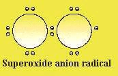 Superoxide anion radical
