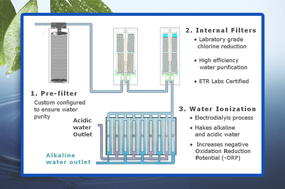 1) Pre-filter: Custom configured to ensure water purity. 2) Internal Filters: (a) Laboratory grade chlorine reduction (b) High efficiency water purification (c) ETR Labs Certified 3) Water Ionization (a) Electrodialysis process (b) Makes alkaline and acidic water (c) Increases negative Oxidation Reduction Potential (-ORP)